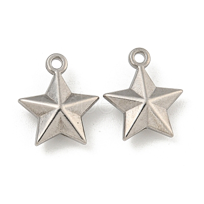 Non-Tarnish 304 Stainless Steel Charms STAS-I307-551P-1