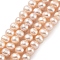 Natural Cultured Freshwater Pearl Beads Strands, Potato, Light Salmon, 5~6mm, Hole: 0.6mm, about 33pcs/strand, 6.89~7.09 inch(17.5~18cm)