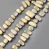 Spray Painted Natural Freshwater Shell Beads Strands SHEL-S276-89A-1