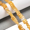 Natural Topaz Jade Beads Strands G-Q167-B13-01-2