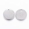 304 Stainless Steel Charms STAS-H422-04P-2