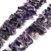 Natural Amethyst Beads Strands G-L551B-08A-1