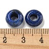 Dyed Natural Lapis Lazuli Beads G-Q173-03A-17-3