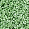 Baking Paint Glass Seed Beads X-SEED-S042-15A-08-3