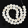 Natural Freshwater Shell Beads SHEL-S276-168X-2