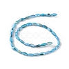 Natural Freshwater Shell Dyed Beads Strands SHEL-M018-13-01-2