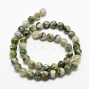 Natural Tree Agate Beads Strands X-G-K194-6mm-02-2
