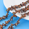 Natural Keshi Pearl Beads Strands PEAR-S021-013A-06-3