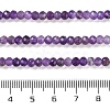 Natural Amethyst Beads Strands G-N342-24-5