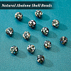 BENECREAT Opaque Resin Beads SSHEL-BC0001-24-4