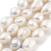 Natural Cultured Freshwater Pearl Beads Strands PEAR-P062-26D-1