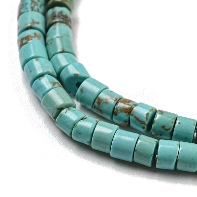 Natural Turquoise Beads Strands G-C084-D10-02-1