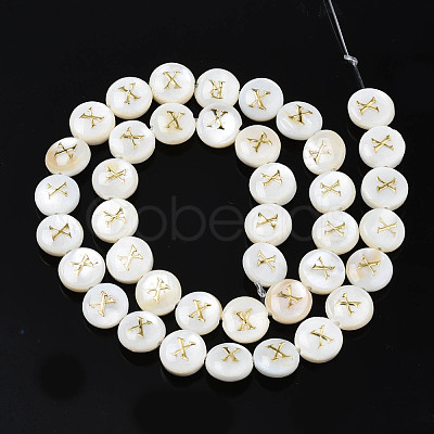 Natural Freshwater Shell Beads SHEL-S276-168X-1