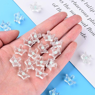 Transparent Acrylic Beads MACR-S373-105-B03-1