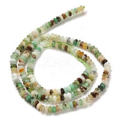 Natural Serpentine Beads Strands G-B107-D05-02-1