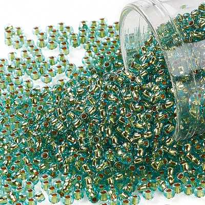 TOHO Round Seed Beads SEED-TR11-0755-1