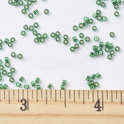 MIYUKI Delica Beads X-SEED-J020-DB0605-1