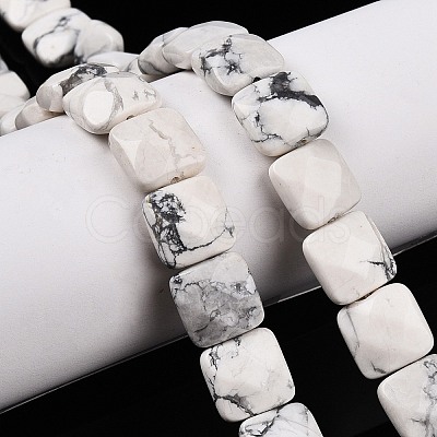 Natural Howlite Beads Strands G-T138-157-1