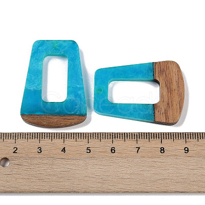 Resin & Wood Pendants WOOD-F015-11E-1