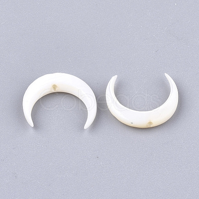 Freshwater Shell Beads SHEL-T012-12-1