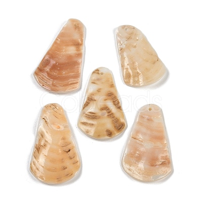 Natural Freshwater Shell Pendants SHEL-K009-06-1