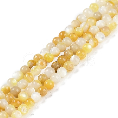 Natural Trochus Shell Beads Strands BSHE-H109-12B-1