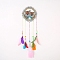 DIY Diamond Painting Hanging Woven Net/Web with Feather Pendant Kits, Including Acrylic Plate, Pen, Tray, Bells and Random Color Feather, Wind Chime Crafts for Home Decor, Owl Pattern, 400x146mm