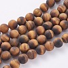 Frosted Natural Tiger Eye Round Bead Strands G-M064-14mm-02-1