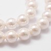 Rainbow Plated Shell Pearl Bead Strands X-BSHE-L025-02-10mm-3
