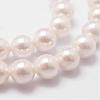 Rainbow Plated Shell Pearl Bead Strands BSHE-L025-02-6mm-3