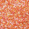 Baking Paint Glass Seed Beads X-SEED-S042-05B-45-3