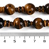 Natural Tiger Eye 3-Hole Guru Beads Strands G-H064-E04-01-5