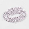 Shell Pearl Beads Strands X-BSHE-K011-8mm-MA722-2