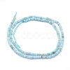 Natural Larimar Beads Strands G-I279-D01-01-2