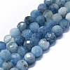 Natural Aquamarine Beads Strands G-G927-08-1