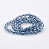 Full Rainbow Plated Glass Faceted Rice Beads Strands GLAA-A030A-FR03-2