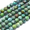 Natural HuBei Turquoise Beads Strands G-K305-40-B-1