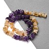 Natural Citrine & Amethyst Beads Strands G-L610-A06-A01-2