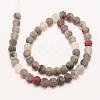 Natural African Bloodstone Beads Strands G-P295-05-6mm-2
