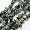 Natural Moss Agate Beads Strands G-F521-10-1