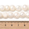 Natural Cultured Freshwater Pearl Beads Strands PEAR-A006-10B-5