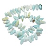 Natural Flower Amazonite Beads Strands G-G106-J02-01-2