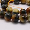 Natural Tiger Eye Bead Strands G-P230-08-F-6mm-3