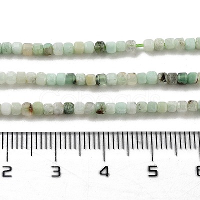 Natural Chrysoprase Beads Strands G-G140-C07-02-1