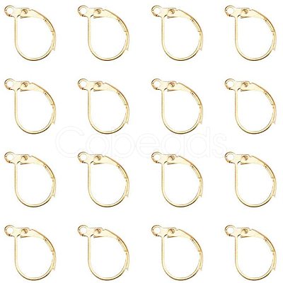 Brass Leverback Earring Findings KK-PH0026-22G-RS-1