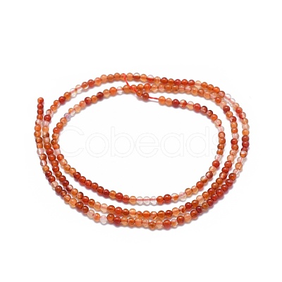 Natural Carnelian Beads Strands G-A177-04-19-1