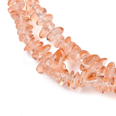 Transparent Glass Beads Strands GLAA-Z009-01L-1