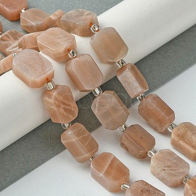 Natural Sunstone Beads Strands G-C098-A12-01-1