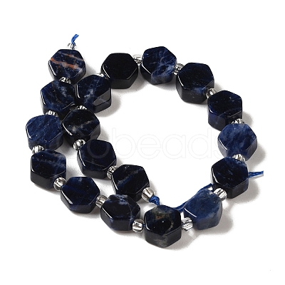 Natural Sodalite Beads Strands G-P534-A11-01-1