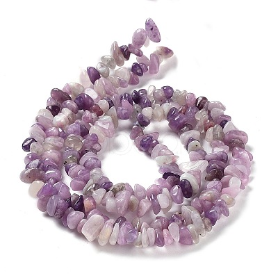 Natural Lepidolite/Purple Mica Stone Beads Strands X-G-P497-03A-06-1